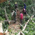 Babinsa Koramil Panekan Ajak Warga Kerja Bakti Bersihkan Pohon Tumbang