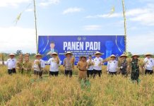 Kakanwil Ditjenpas Jatim Pimpin Panen Raya Padi di SAE Lapas Banyuwangi