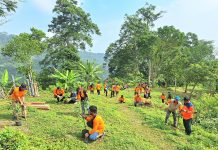 Aksi Nyata Cinta Lingkungan, Jurnalis dan BPBD Jatim Tanam 100 Tanaman Buah di Gunung Lorokan