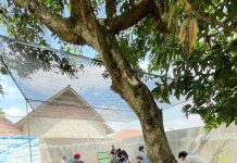 Babinsa Koramil 0814-01/Jombang Gelar Cukur Rambut Gratis untuk Anak Sekolah