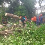 Puting Beliung Hancurkan Teras Rumah dan Tumbangkan Pohon di Beberapa Titik