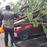 BPBD Jatim Bergerak Cepat Tangani Dampak Puting Beliung di Bandara Juanda