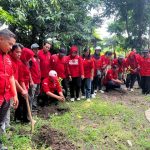 Made Cahyana: Gerakan Menanam Pohon dari Kader Jadi Kado Ulang Tahun ke-79 Megawati Soekarno Putri