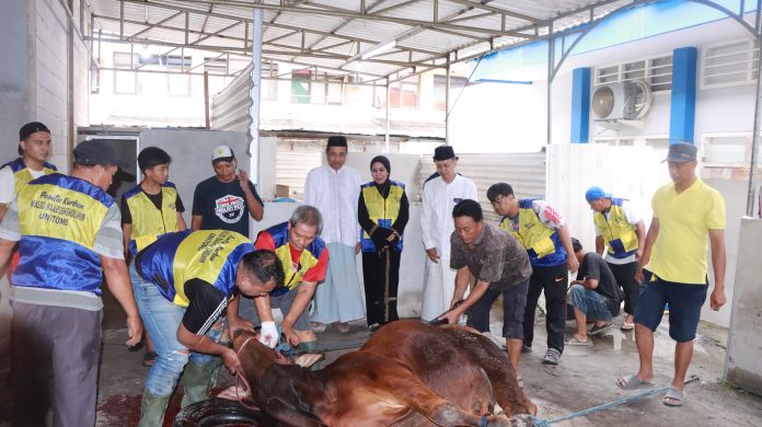 IMG-20260527-WA0012 Rektor Prof Siti Marwiyah menyaksikan penyembelihan hewan kurban, Rabu (27/5/2027). DUTA/ist