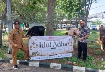 Idul Adha 2026, BKMS Bersama Tenant JIIPE Bagikan Puluhan Hewan Kurban