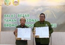 Jembatan Kaca Bromo Siap Dibuka Akhir Juni 2026, BBTNBTS Gandeng The Lawu Group sebagai Pengelola