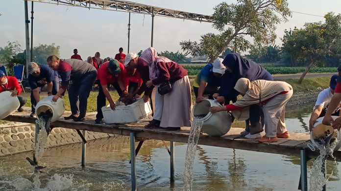 WhatsApp Image 2026-08-02 at 10.23.44