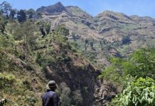 Karhutla Kepung Pegunungan Jawa Timur, BPBD Jatim Terus Pacu Pembasahan dan Sekat Bakar