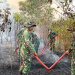 Hadapi Api dengan Sigap, Personel Brigif TP 32/Mangkalihat Cepat Tangani Karhutla
