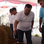 Durian Wonosalam 2026 Bidik Varietas Unggulan Baru