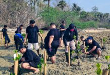 Wujud Kepedulian Lingkungan MYZE Hotel Sumenep Tanam Mangrove di Kecamatan Saronggi